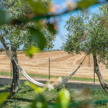 Ortopi Country Canapa House Porto Recanati Buitenkant foto