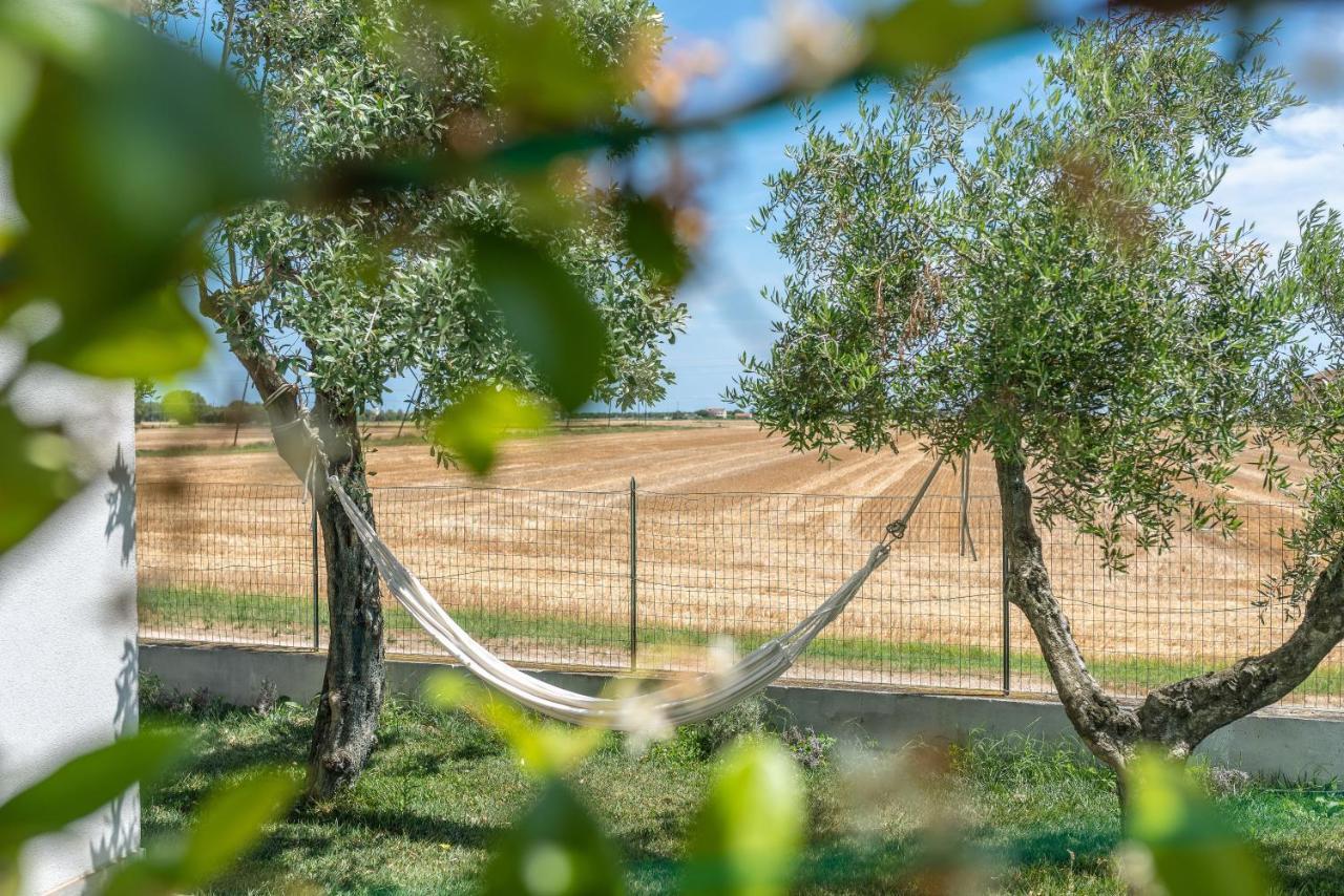 Ortopi Country Canapa House Porto Recanati Buitenkant foto